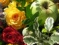 Verwendung der Rosen im Garten, in der K&uuml;che, Haushalt, Hausapotheke, als Dekoration usw.