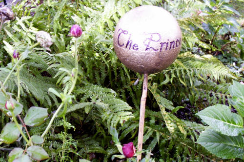 Amelie`s Idee f&uuml;r selbstgemachte Rosenkugeln