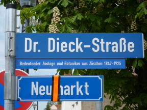 Stra&szlig;enschild Dieck-Strasse Foto Roland Jacob